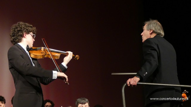 Totem Magenta Concerto Rivolta