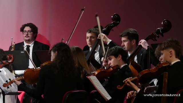 Totem Magenta Concerto Rivolta