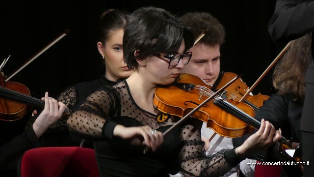 Totem Magenta Concerto Rivolta