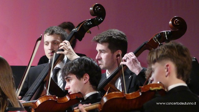 Totem Magenta Concerto Rivolta