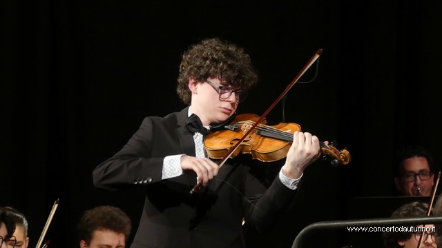 Totem Magenta Concerto Rivolta