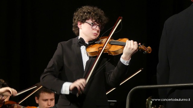 Totem Magenta Concerto Rivolta