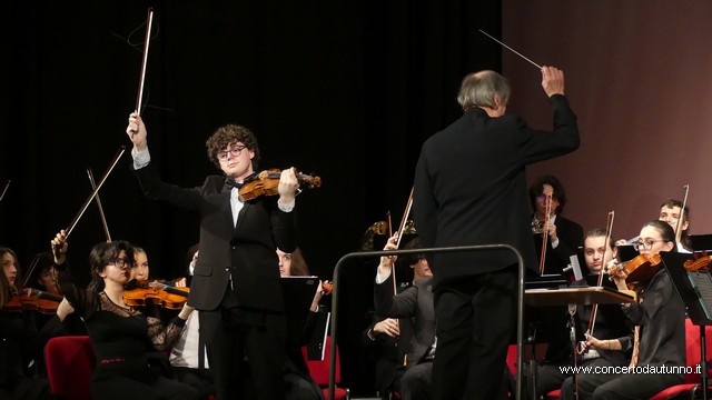 Totem Magenta Concerto Rivolta