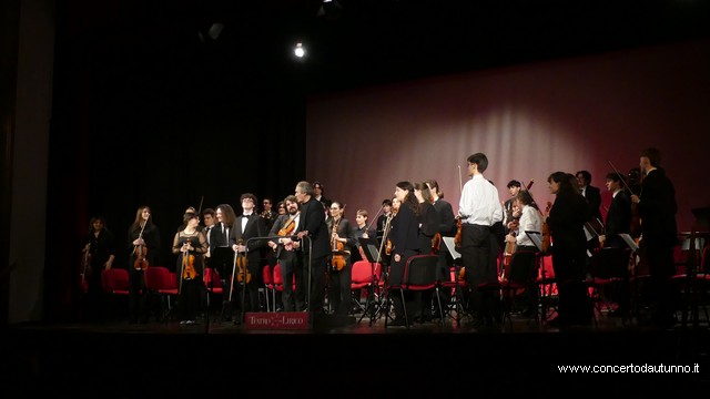 Totem Magenta Concerto Rivolta