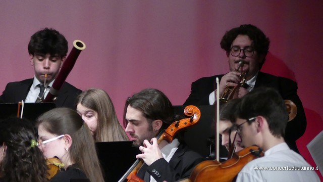 Totem Magenta Concerto Rivolta