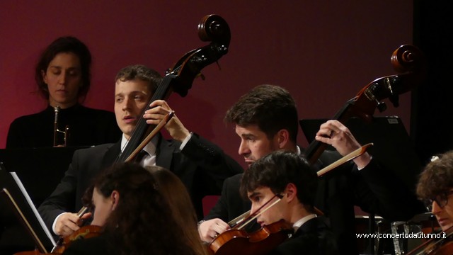 Totem Magenta Concerto Rivolta