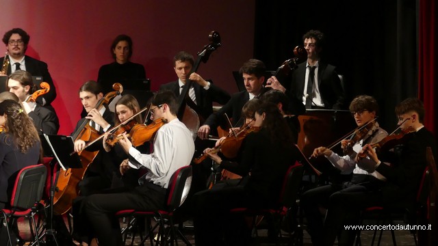 Totem Magenta Concerto Rivolta