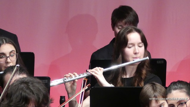 Totem Magenta Concerto Rivolta