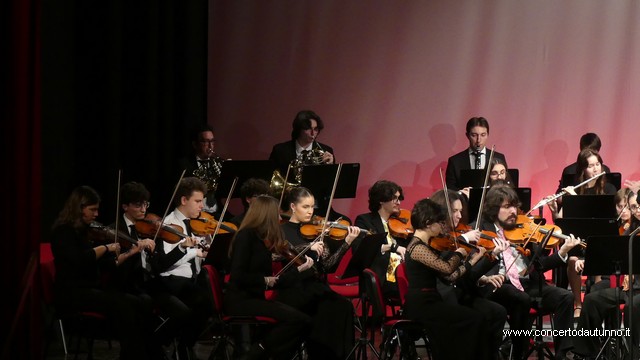 Totem Magenta Concerto Rivolta