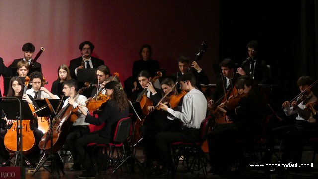 Totem Magenta Concerto Rivolta