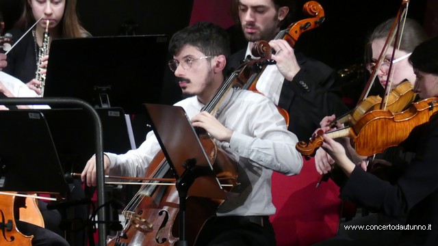 Totem Magenta Concerto Rivolta