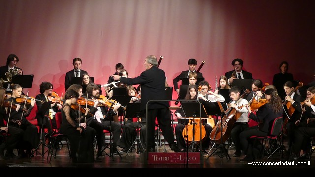 Totem Magenta Concerto Rivolta