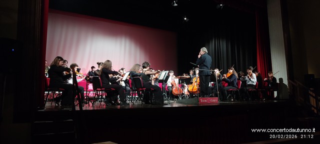 Totem Magenta Concerto Rivolta