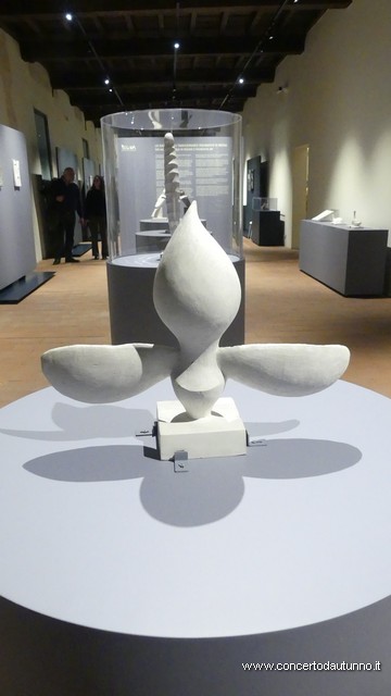 Regina Cassolo Antologica