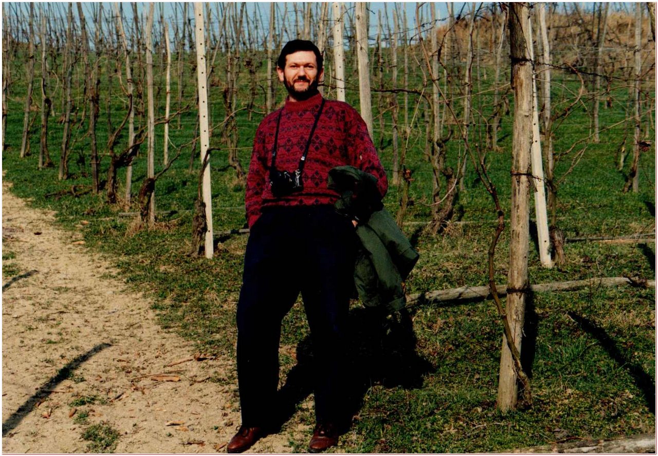 Il giovane Mario da Vigevano